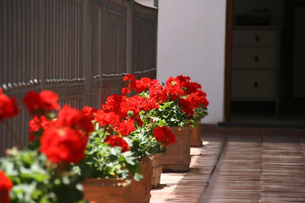 B&B Il Vicolo Anacapri  Exterior foto